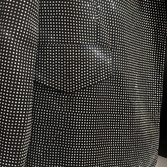 Aya Blazer in Silver Steve Madden - Picture 4 of 5